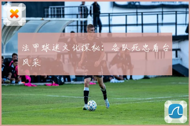 法甲球迷文化探秘:各队死忠看台风采