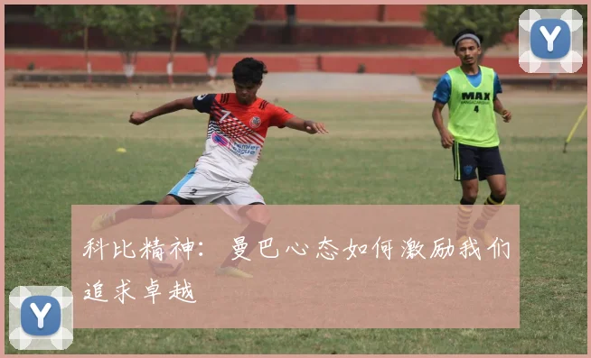 科比精神:曼巴心态如何激励我们追求卓越