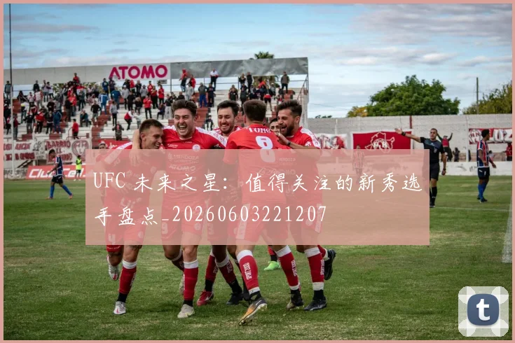 UFC 未来之星：值得关注的新秀选手盘点_20260603221207