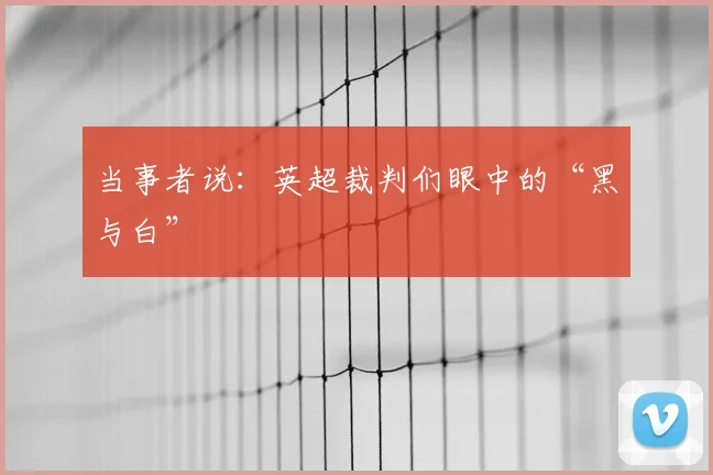当事者说：英超裁判们眼中的“黑与白”